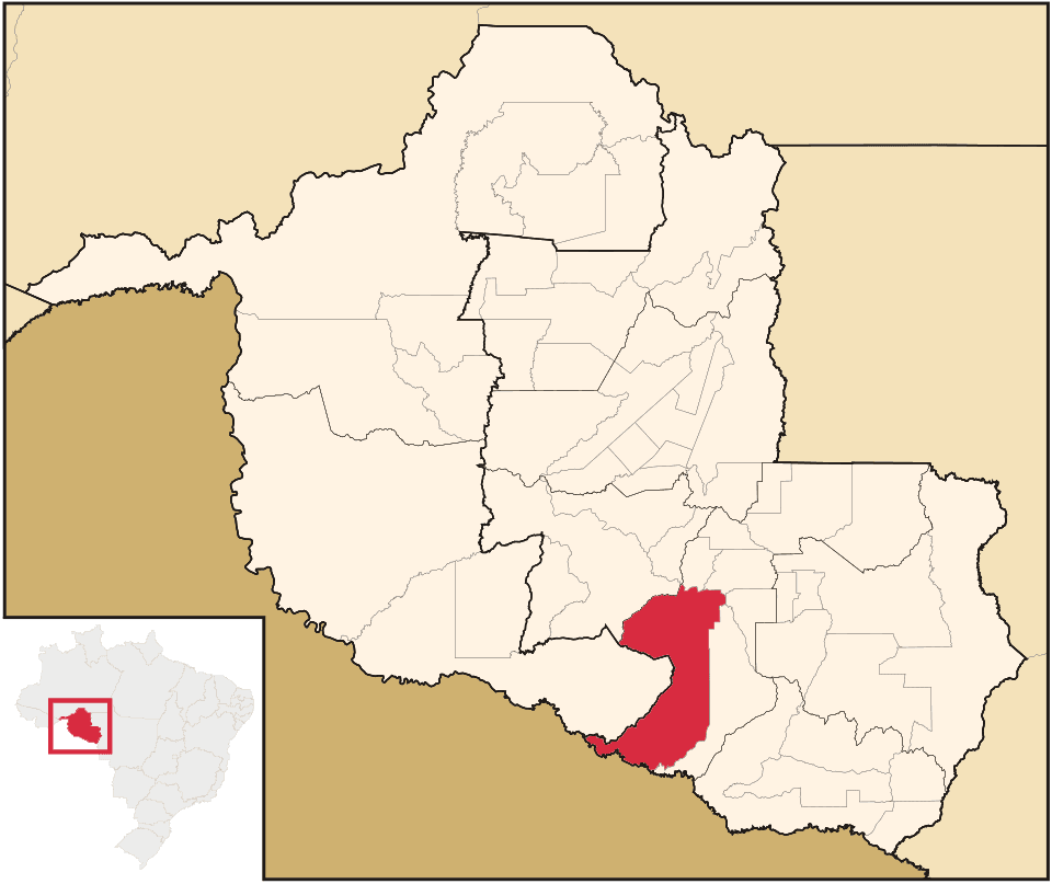 Celina Leão promove cultura em Brasília com apresentação de O Quebra-Nozes